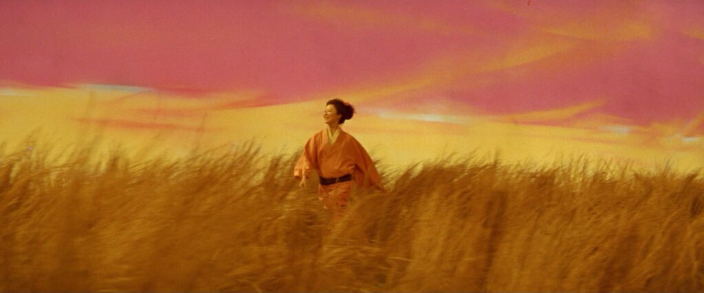 A woman walks through a field of tall grass under a dramatic orange sky in Kwaidan (1964).
