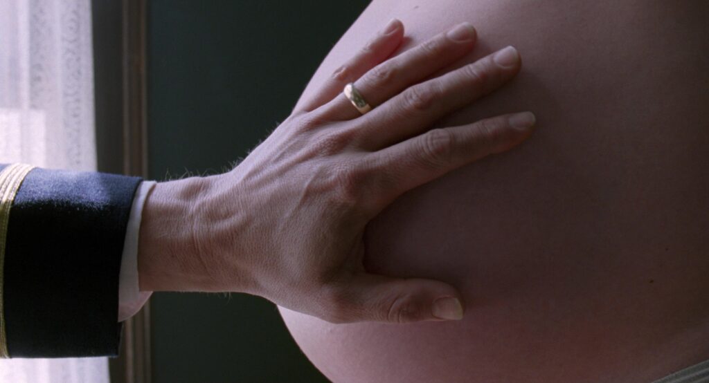 A hand rests on a pregnant belly in The Tree of Life (2011), symbolizing new life.