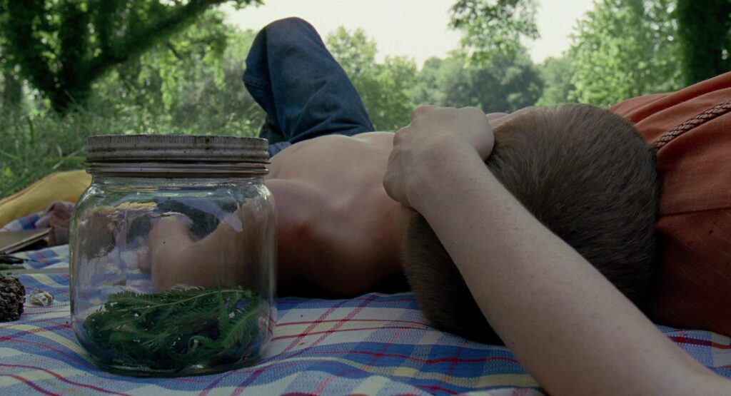A mother embraces her child outdoors in The Tree of Life (2011).