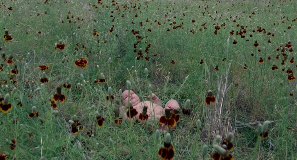A baby lie in a wildflower field in The Tree of Life (2011), surrounded by nature.