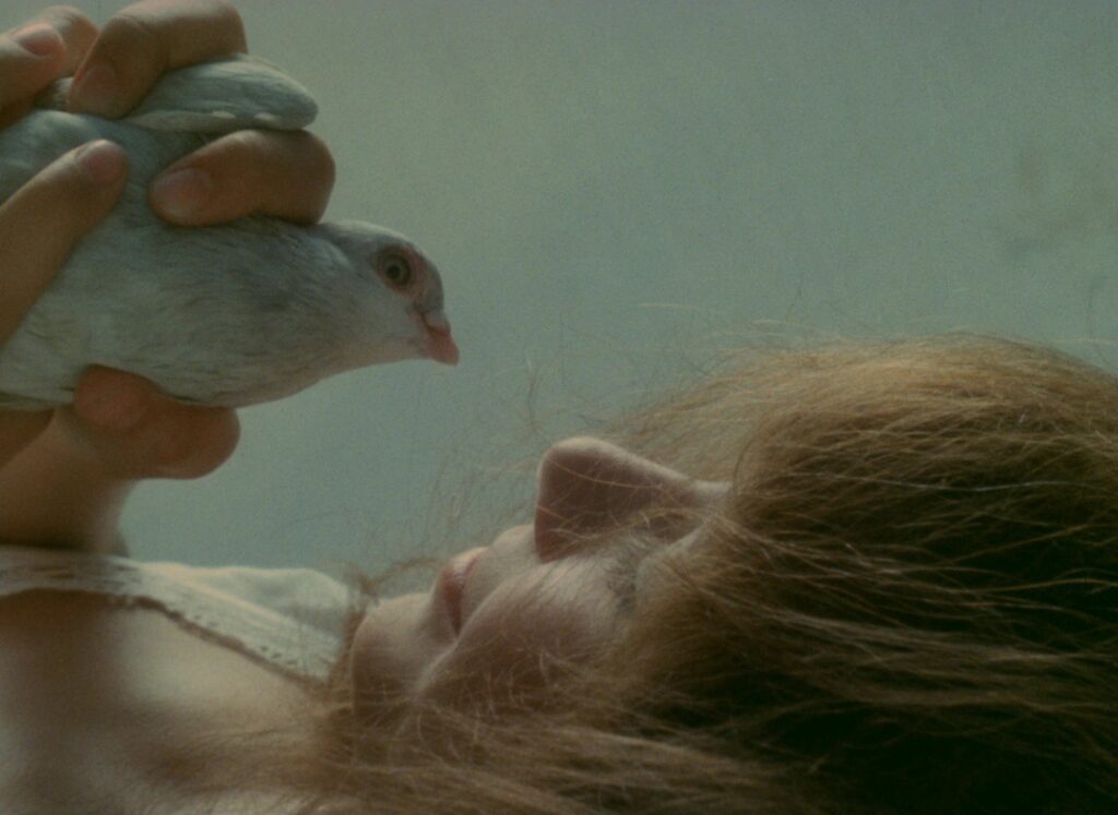Valerie holds a white dove in Valerie and Her Week of Wonders (1970).